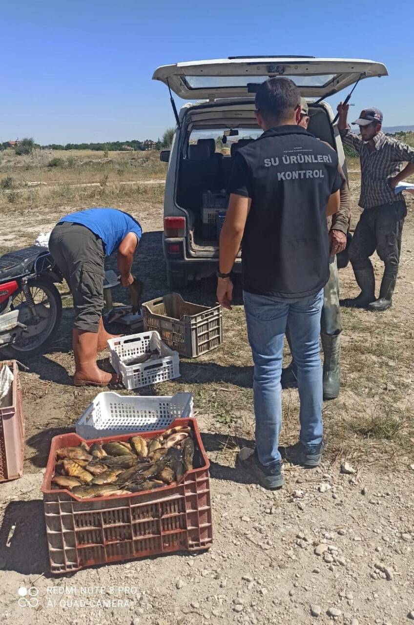 aa-20230801-31815897-31815895-tatli-sularda-avlanan-baliklarin-boy-limitine-siki-takip.jpg