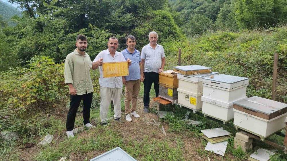 Bal arıları ‘Allah’ yazısı oluşturdu