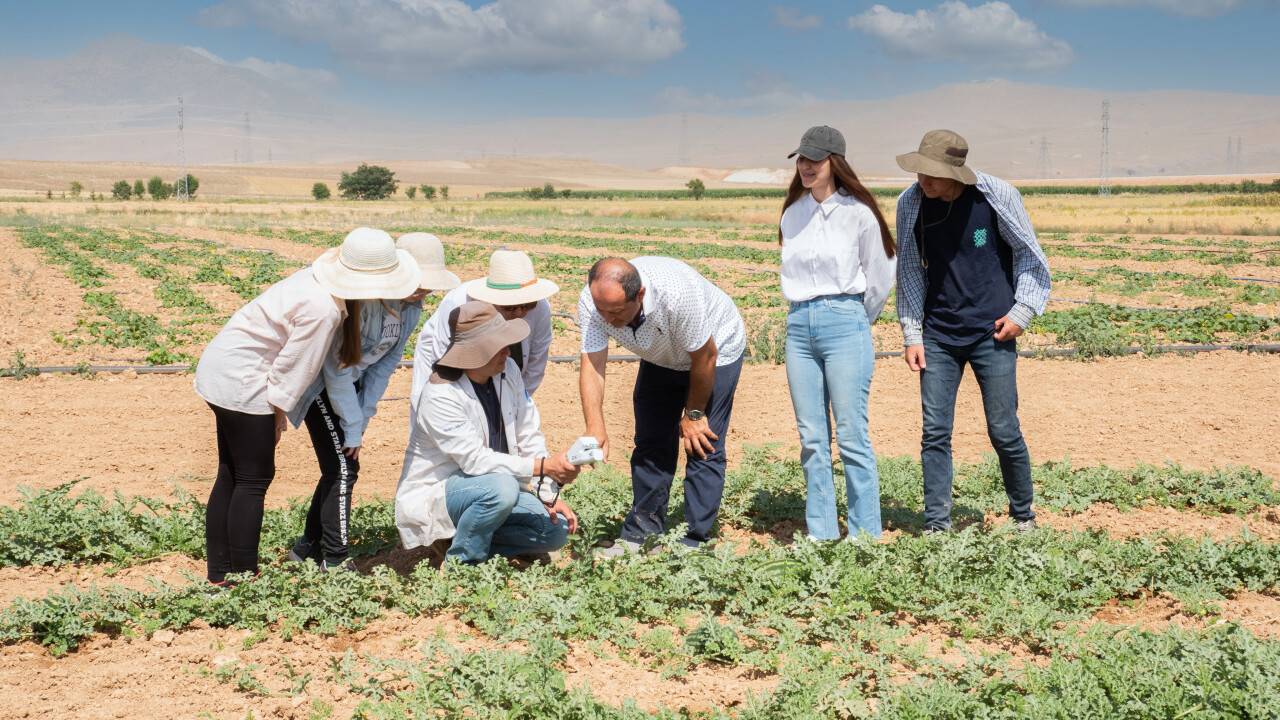 selcuk-universitesi-karpuz-ve-kavun-uretimi-1.jpg