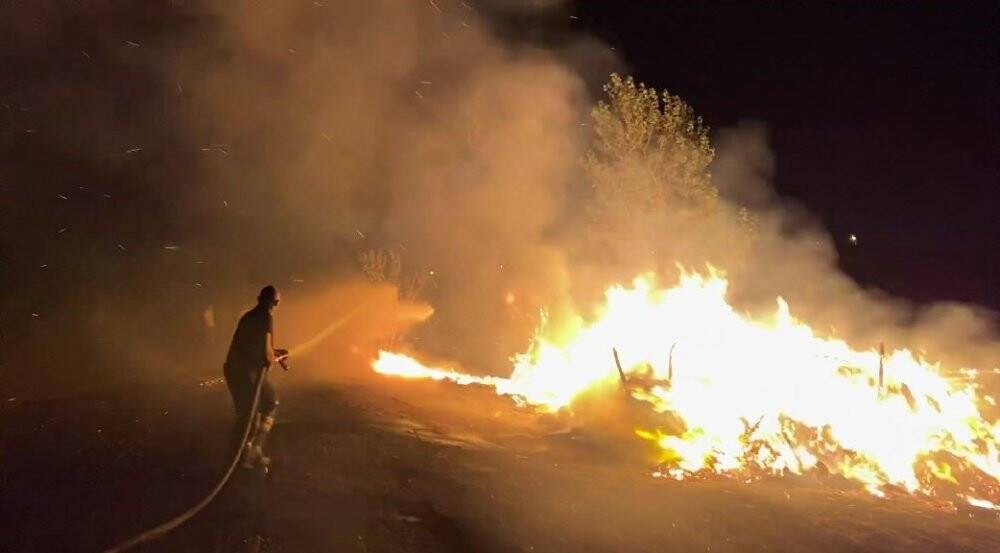 Çiftlik yangınında binlercesi yandı