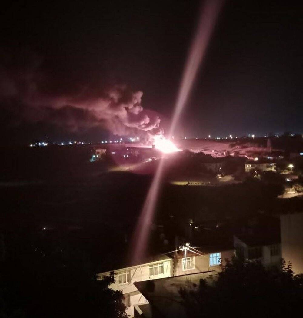 Çiftlik yangınında binlercesi yandı