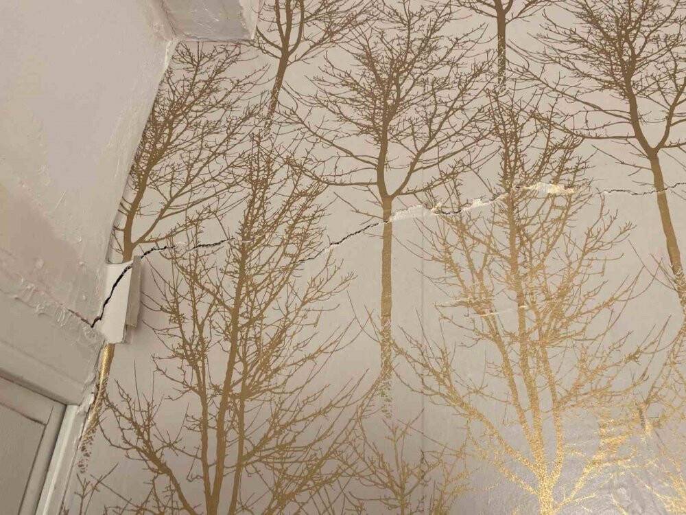 Büyük hayallerle aldıkları evler kabusları oldu: Çıkan sesler yüzünden evlerini terk ediyorlar