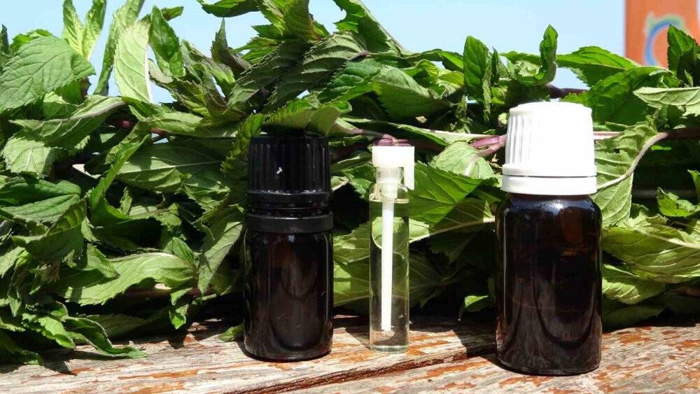 Bu yağın litresi 35 bin TL