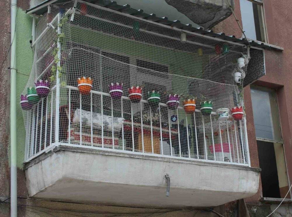Rengârenk görüntüsüyle ilgi odağı oluyor