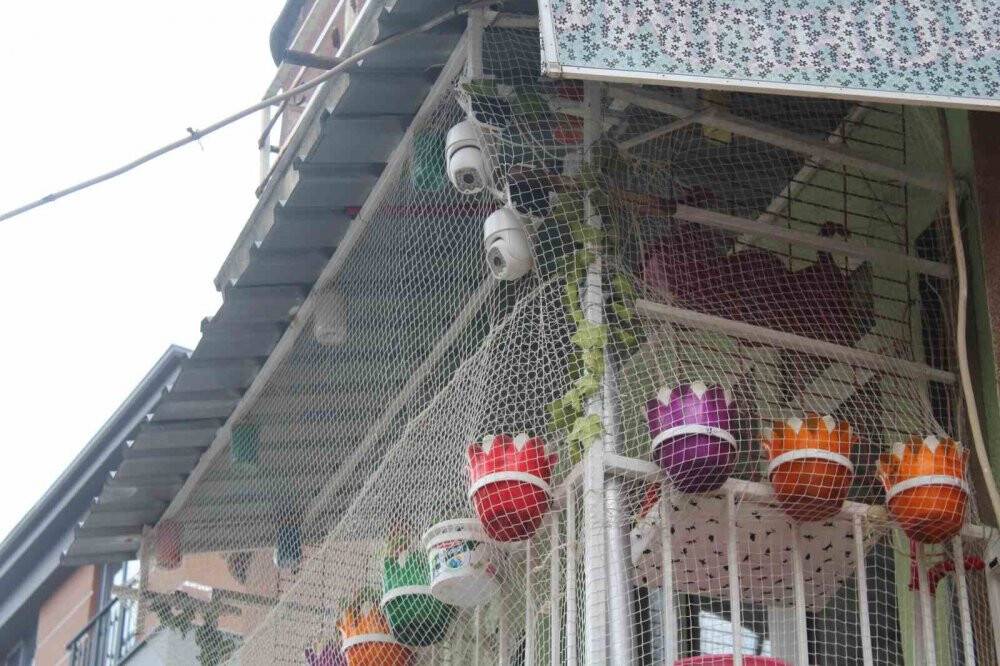 Rengârenk görüntüsüyle ilgi odağı oluyor