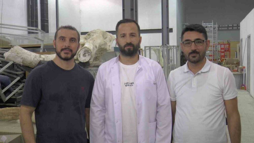 7,5 milyon yıl sonra gün yüzüne çıktılar