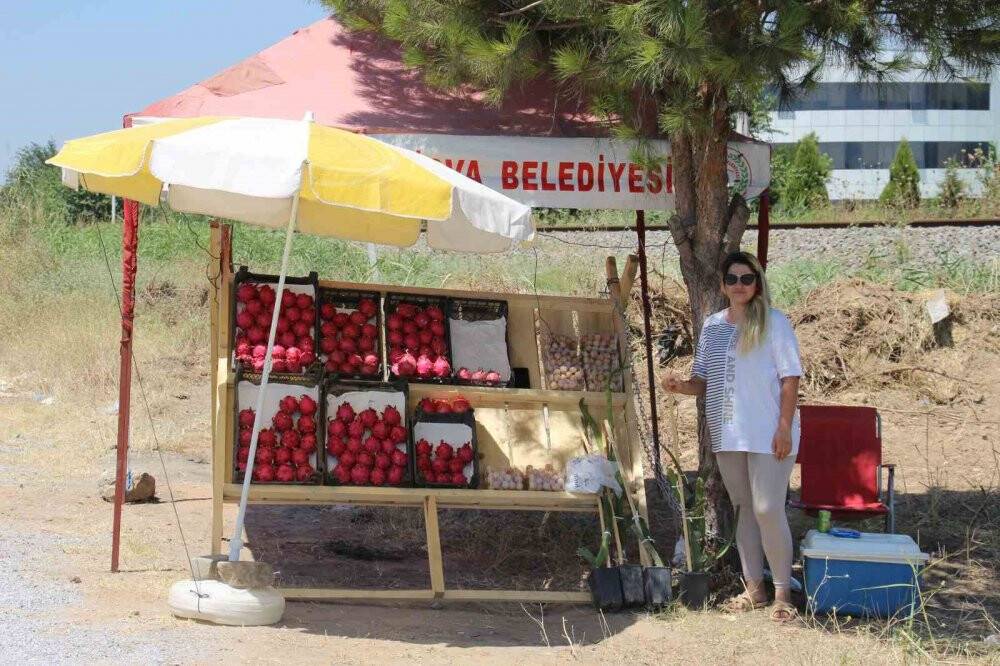 Manavda görüp tadına baktı, hayatı değişti