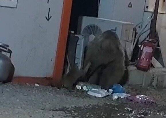 Ekmek kavgası kameralara  böyle yansıdı