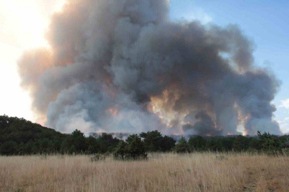 Eskişehir’de çıkan orman yangını için Konya'dan destek ekibi