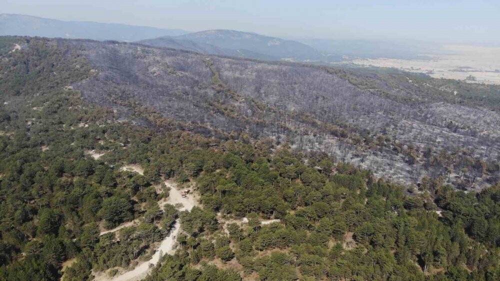 Eskişehir'deki orman yangınına Konya'dan destek