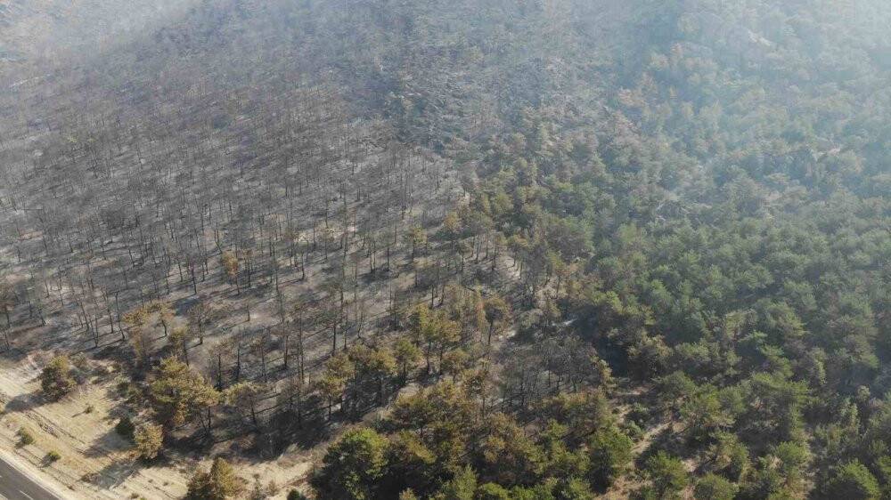 Eskişehir'deki orman yangınına Konya'dan destek