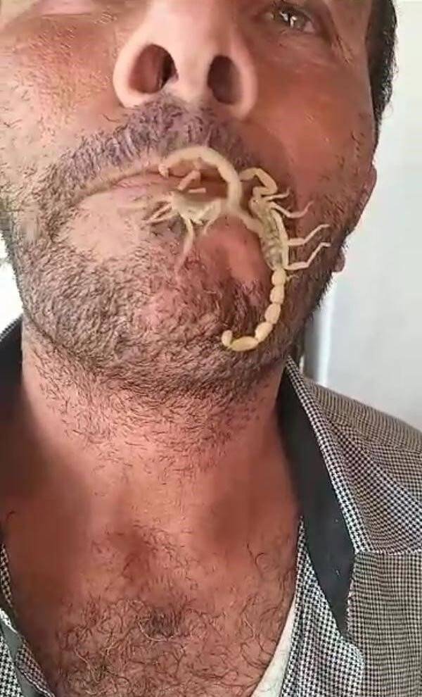 ‘Hayvan sevgisi’nin böylesi (TIKLA&İZLE)