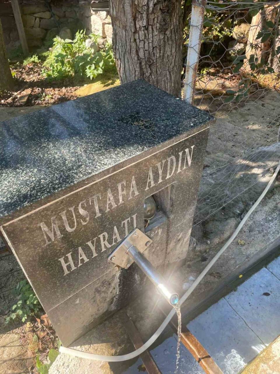 Köy çeşmesinde bulunan canlının ne olduğu ortaya çıktı