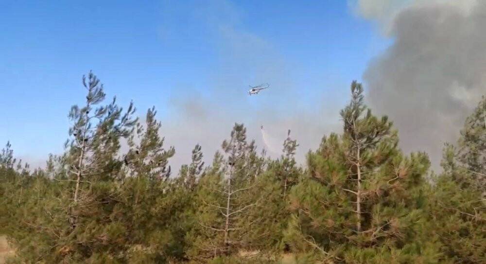 Orman muhafaza memuru, 40 günlük yaşam savaşını kaybetti