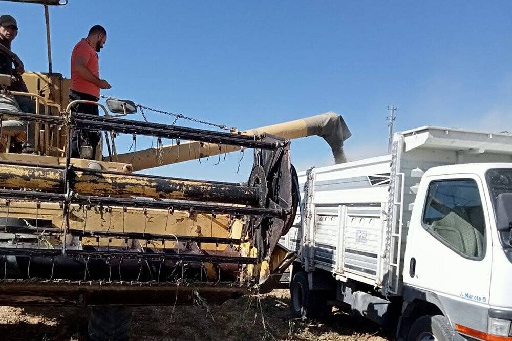 Akşehir Belediyesi 19 bin metrekarelik aratıl araziyi tarımda değerlendirdi