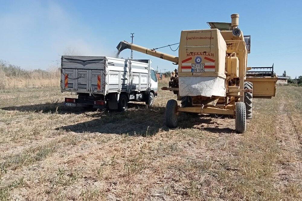 Akşehir Belediyesi 19 bin metrekarelik aratıl araziyi tarımda değerlendirdi