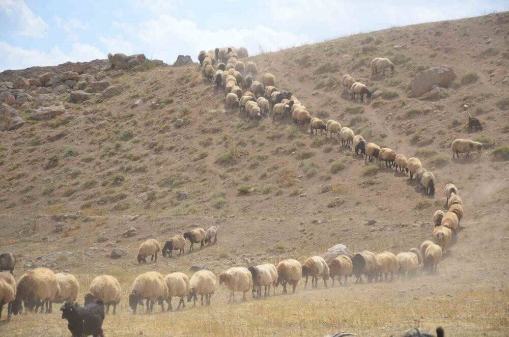 Yaylalarda son demler yaşanıyor