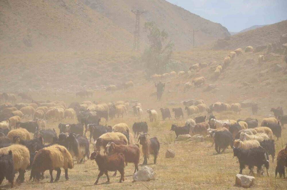 Yaylalarda son demler yaşanıyor