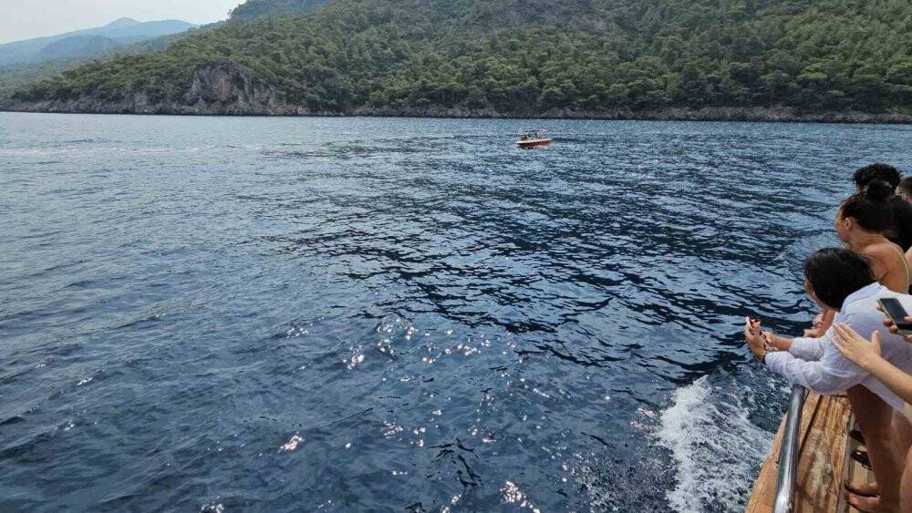 Yunus balıklarının dansı: İzleyenlerin yüzünü güldürdü