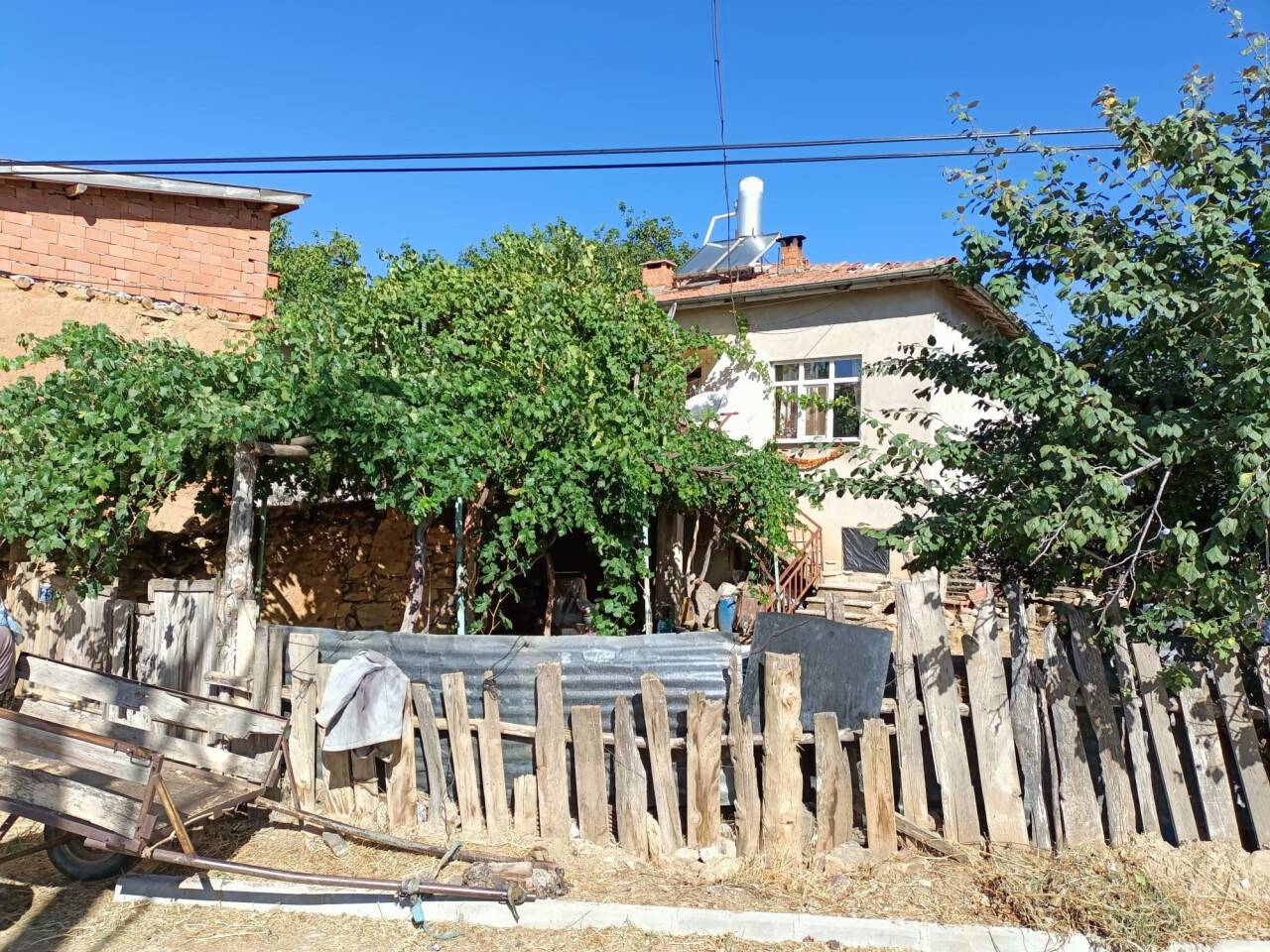 aw027952-01.jpg