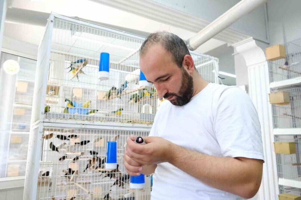 Egzotik kuşların belgeselleri aratmayan o görüntüleri