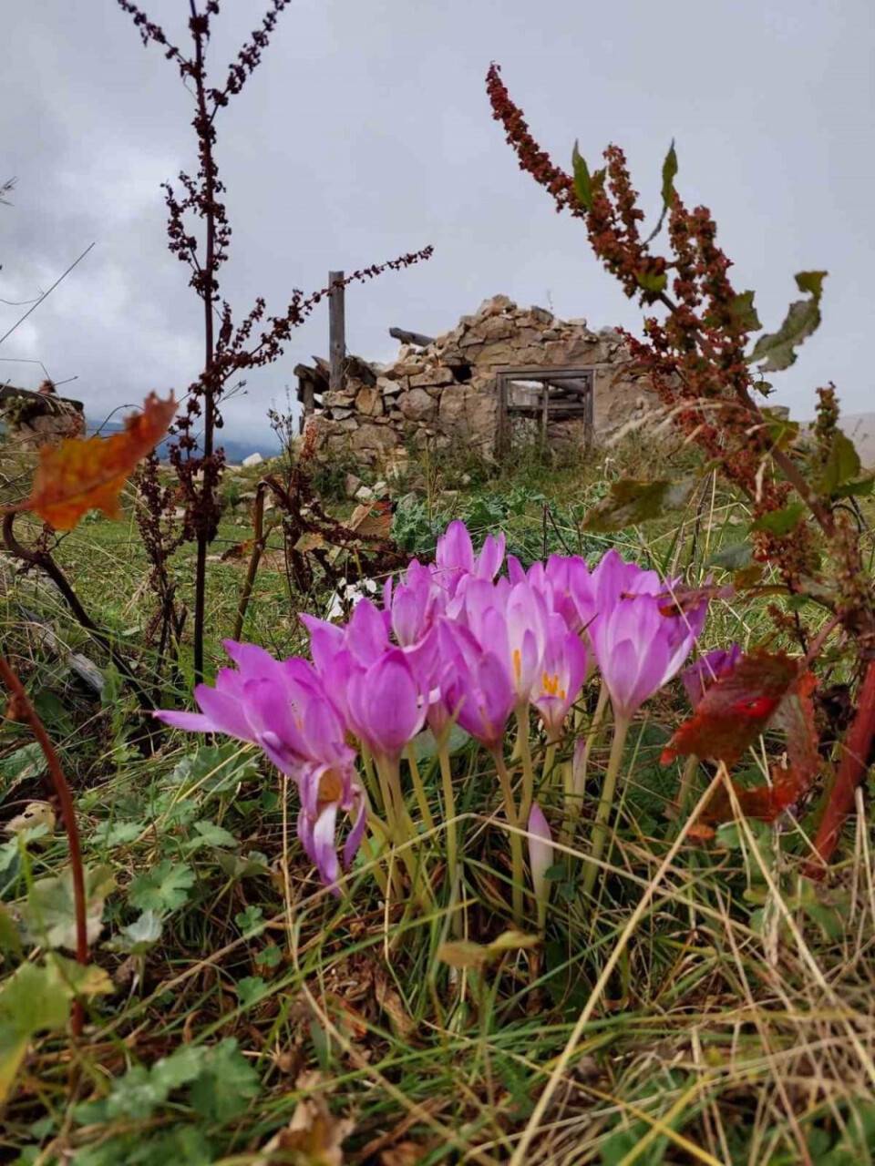 Kışın habercisi kendini göstermeye başladı
