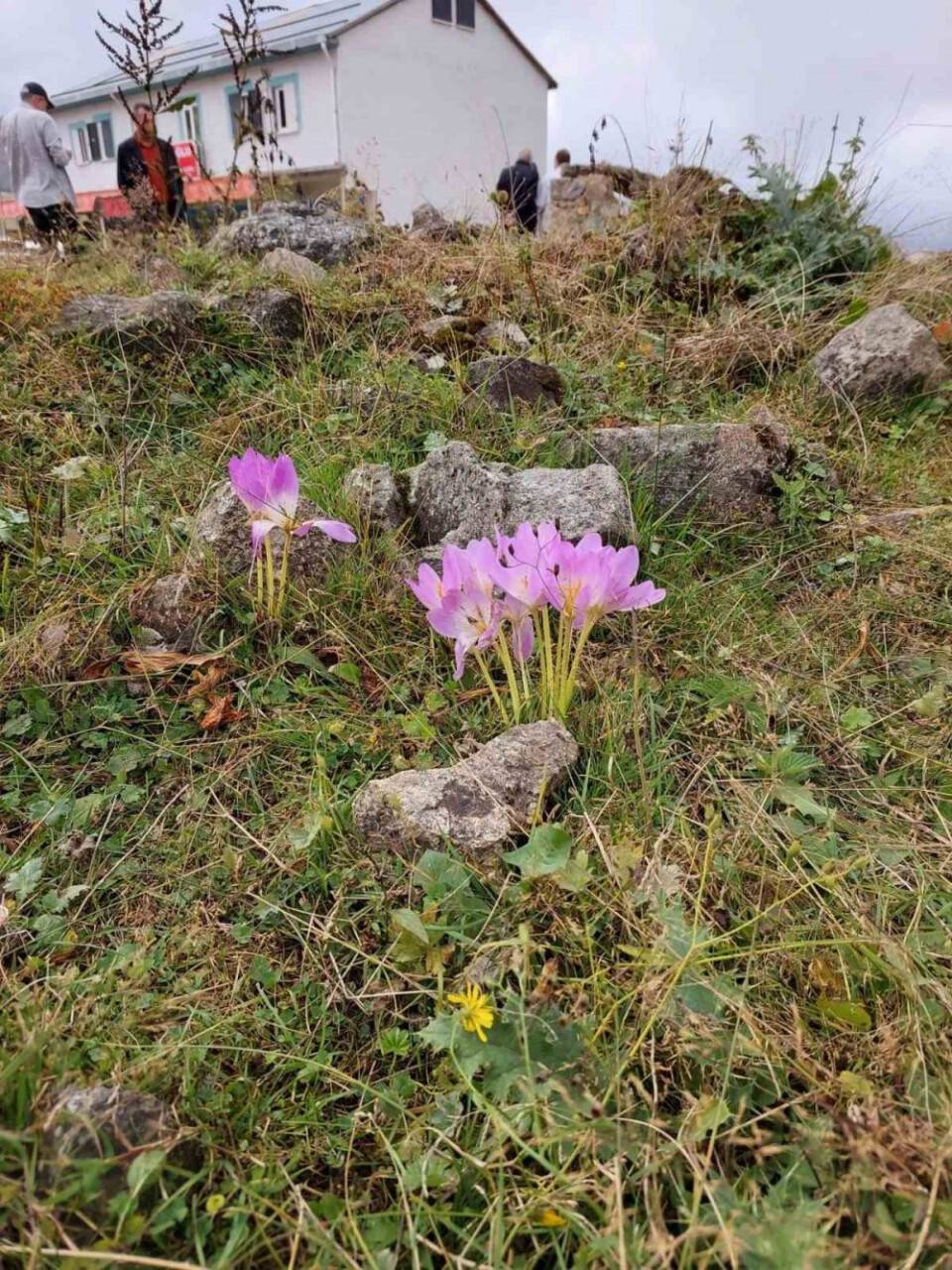 Kışın habercisi kendini göstermeye başladı