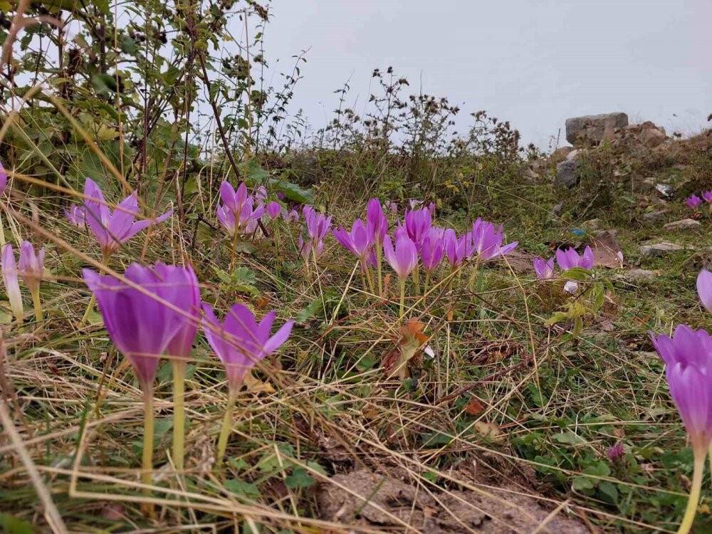 Kışın habercisi kendini göstermeye başladı