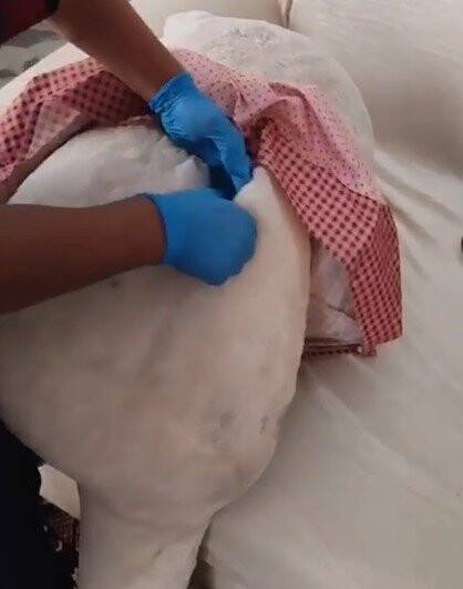 Oyuncak ayının içinden tabanca çıktı