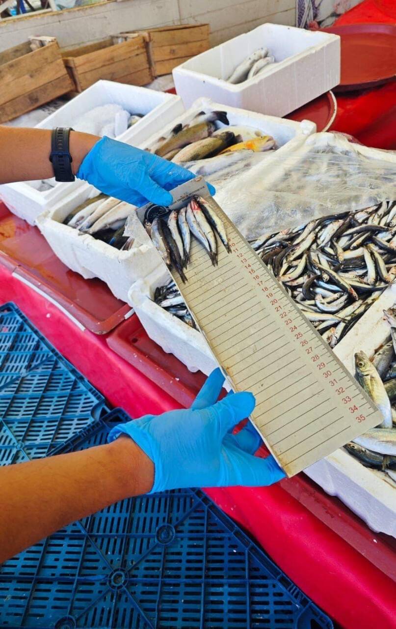 Konya'nın ilçesinde balık denetimi yapıldı