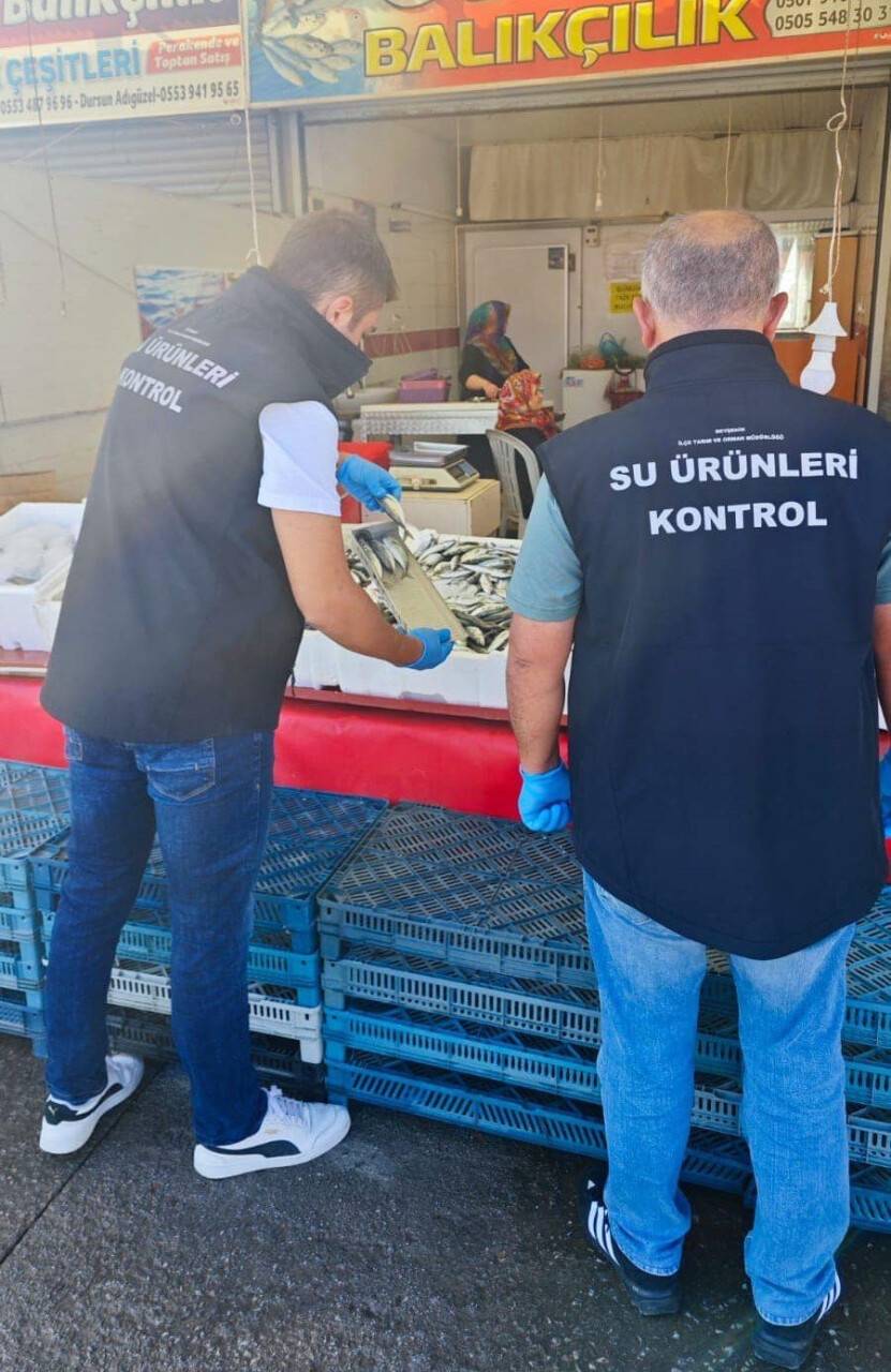 Konya'nın ilçesinde balık denetimi yapıldı