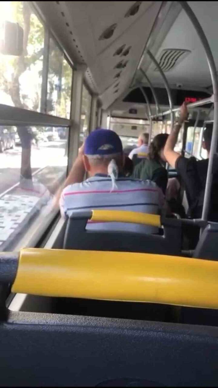 Ensesine konan muhabbet kuşuyla seyahat etti