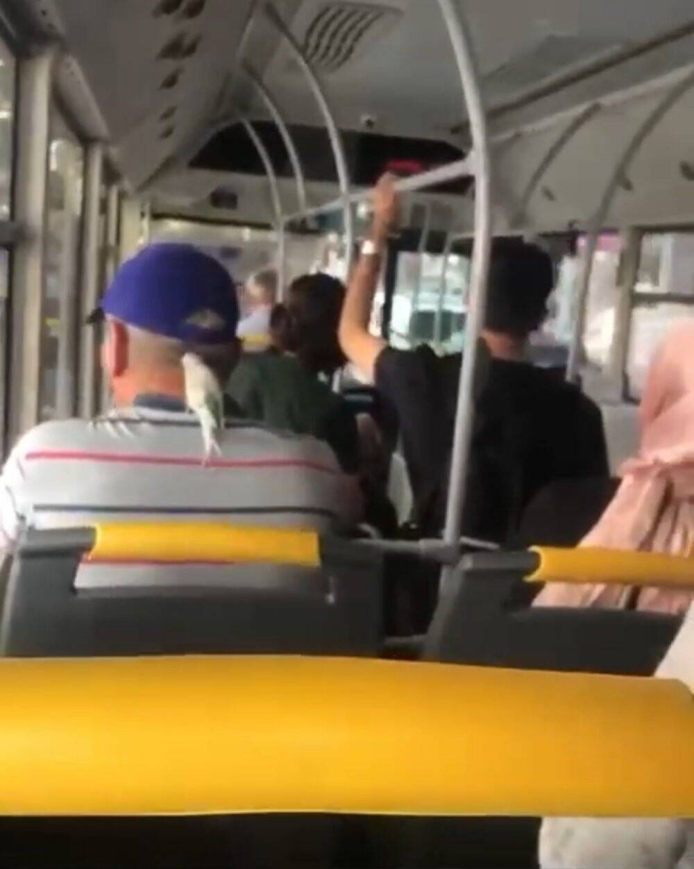 Ensesine konan muhabbet kuşuyla seyahat etti