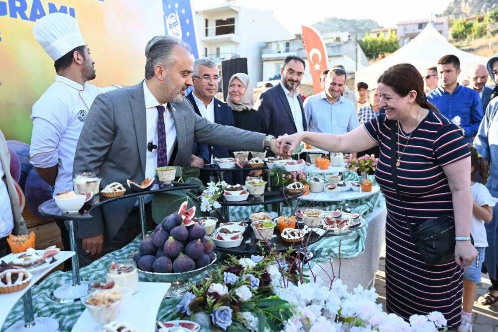’Siyah inci’de hasat başladı