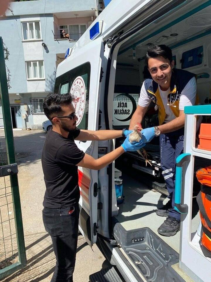 Yaralanan tavuğunu 112'ye tedavi ettirdi