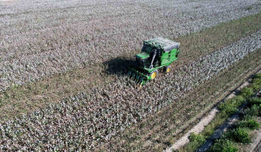 Adana’da pamuk hasadı başladı