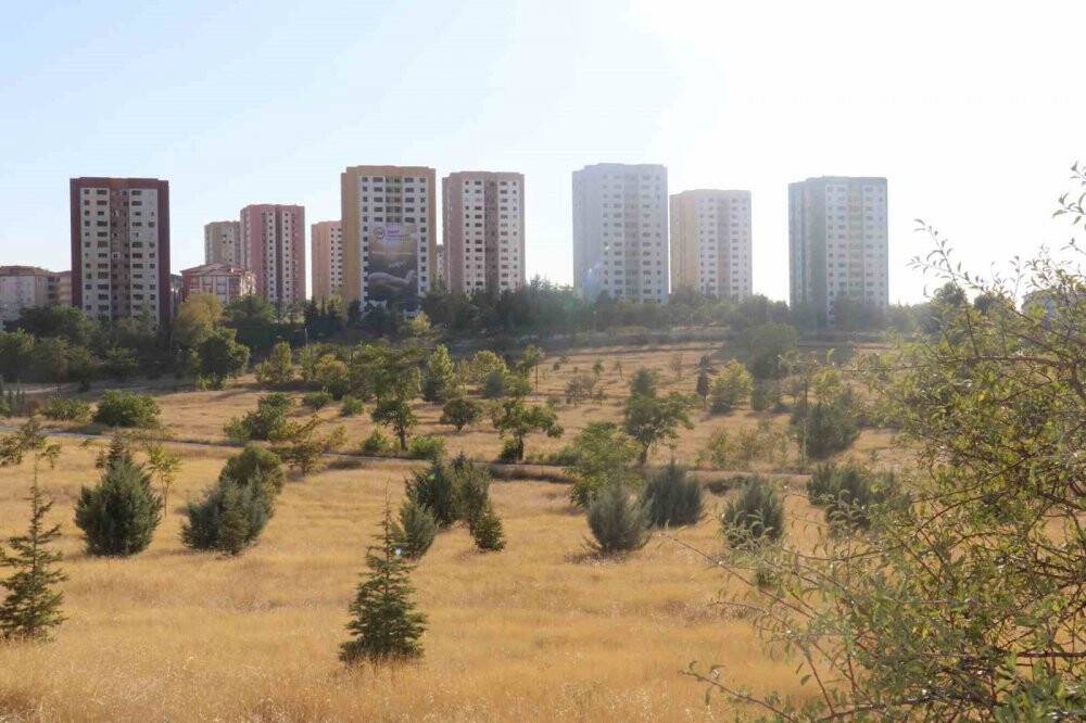 Dünyada ilk kez 15 katlı 9 blok tek seferde patlayıcı ile yıkıldı