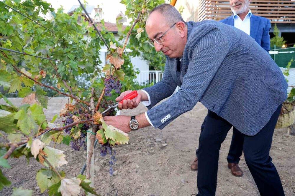 Meram Bağı’nda bağ bozumu ve pekmez kaynatma etkinliği