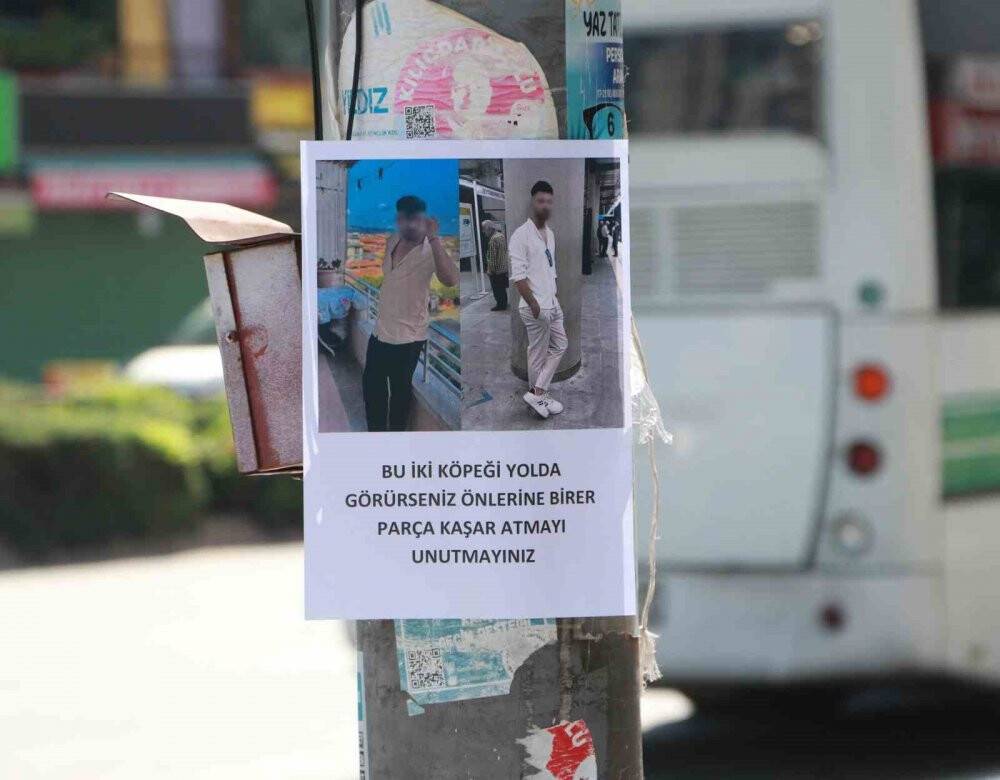 Direğe asılan ilan görenlerin dikkati çekti: İlan Bu kadarına da 'pes' dedirtti!