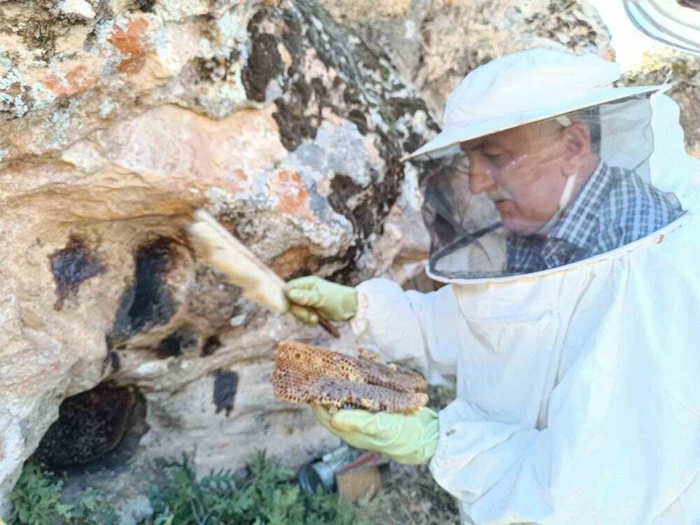 Seydişehir'in doğal hazinesi: Bin 700 metreden toplanan eşsiz katran reçine balı