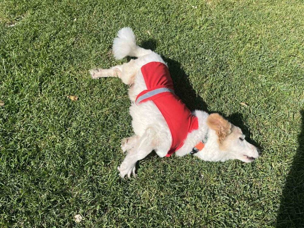 "Casper bana Allah'ın emaneti"