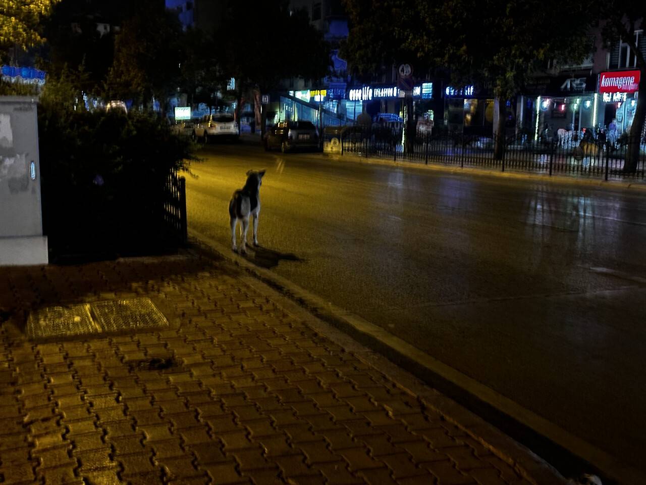 img-2762.jpeg