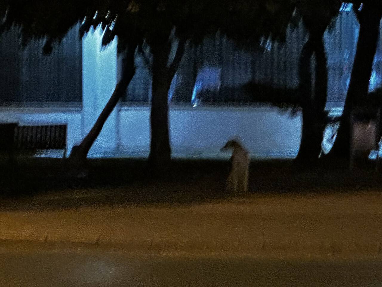 img-2765.jpeg