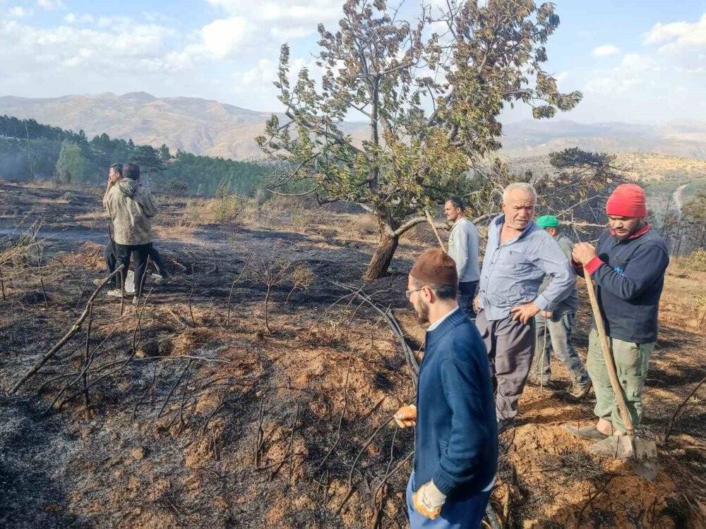 Konya Hadim'de orman yangını