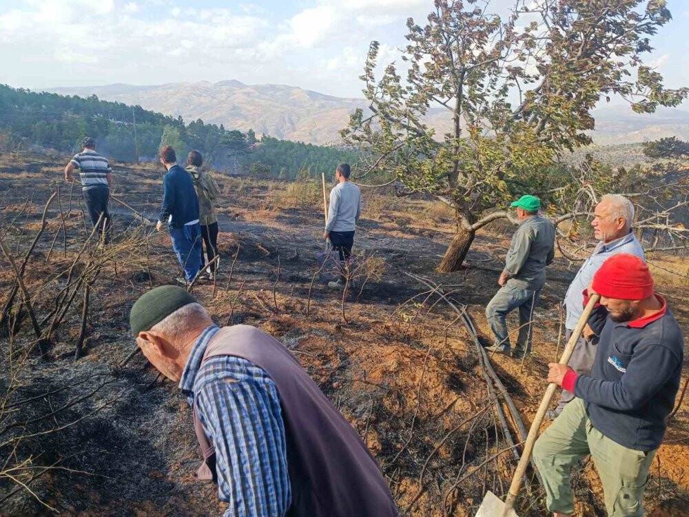 Konya Hadim'de orman yangını