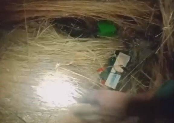 Yasak olmasına rağmen bıldırcın sesi ile avlananlar yakalandı