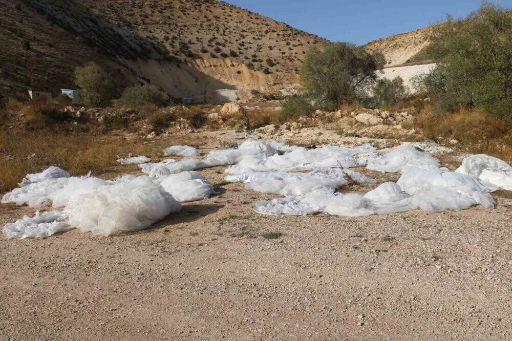 Görenleri bir hayli şaşırttı: Dere kenarına atılmış