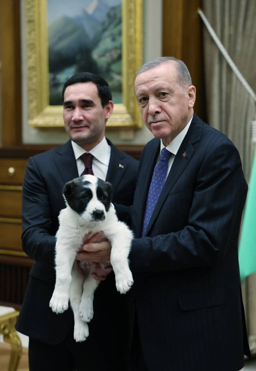 ni-erdogan-turkmenistan-devlet-baskani-berdimuhammedov.jpg