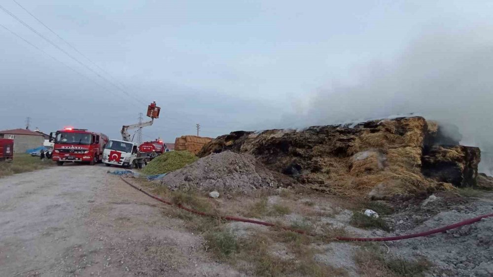 Konya'da kopan elektrik teli 20 bin  balyayı yaktı