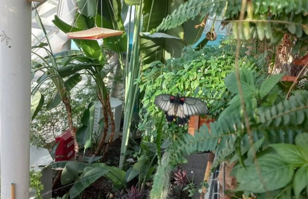 Kütahyalı öğrenciler ve aileleri Konya'yı gezdi